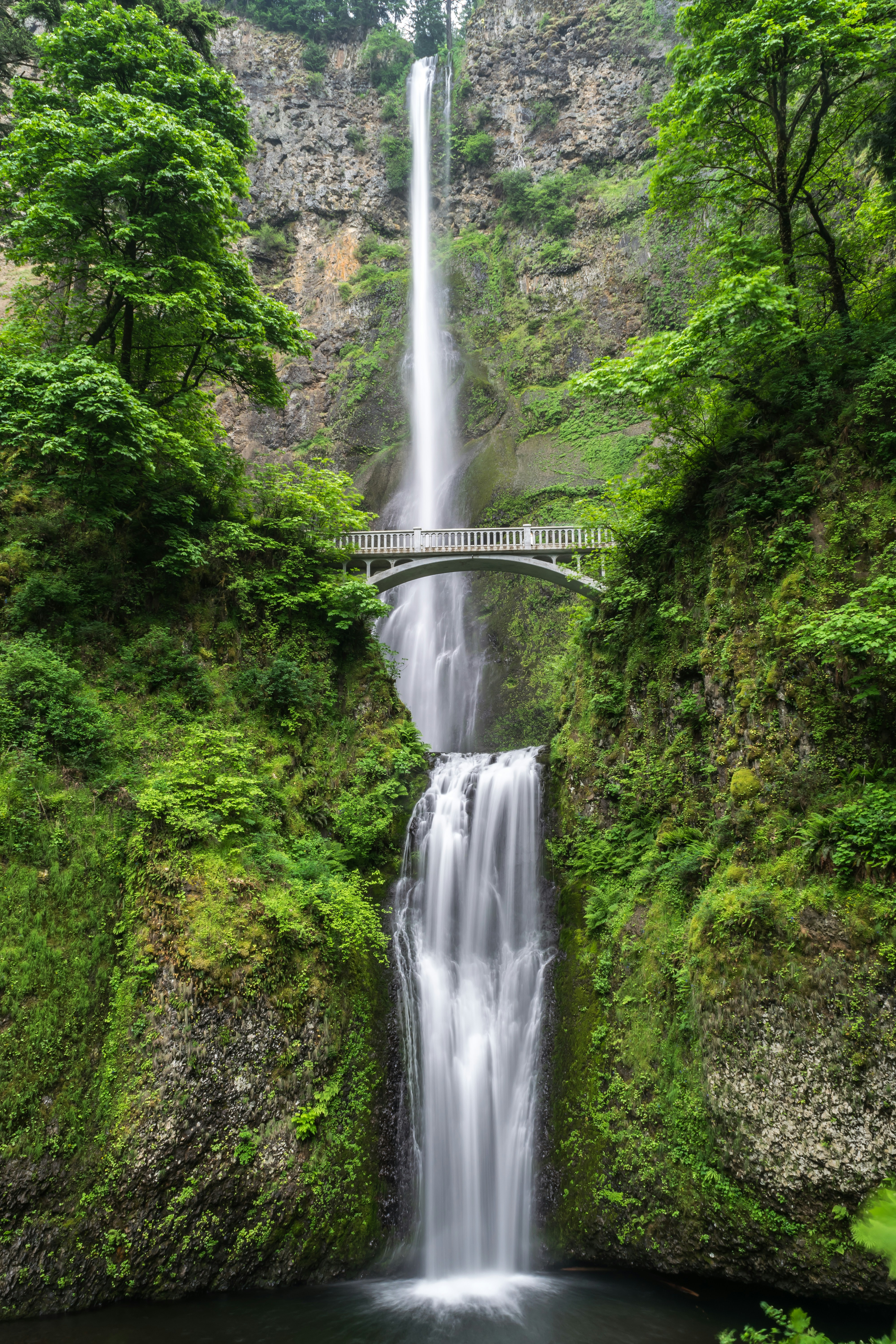 Peaceful natural landscape